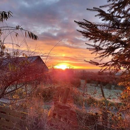 Forest View Cabin Ballaghaderreen Extérieur photo