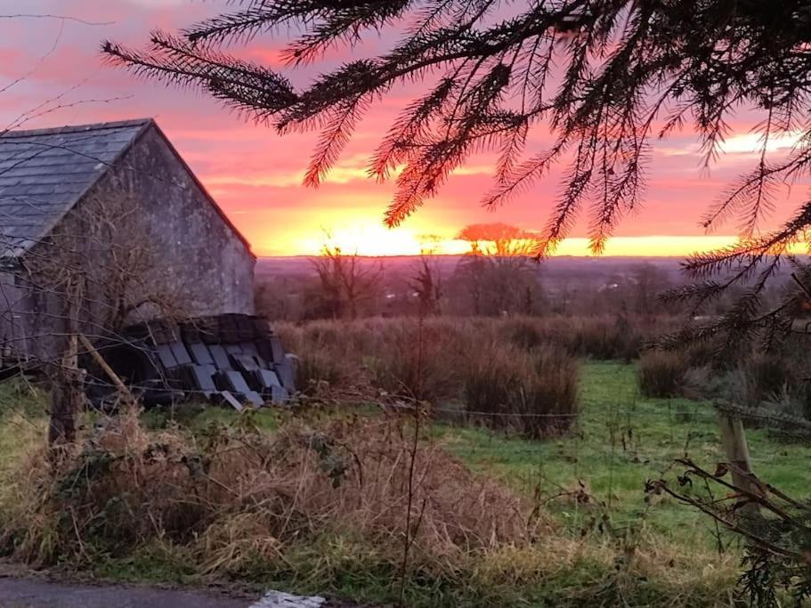 Forest View Cabin Ballaghaderreen Extérieur photo